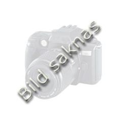 EGO sågklinga 255 mm & Skydd för BCX3800 & BCX4500